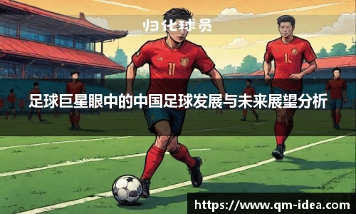 足球巨星眼中的中国足球发展与未来展望分析